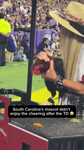 Keep it down for the Gamecock man… 