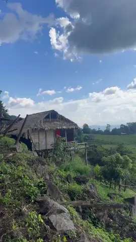 ธรรมชาติสวยงามเสมอ#วิวบ้านนอก🍃 #ธรรมชาติฮิลใจ 