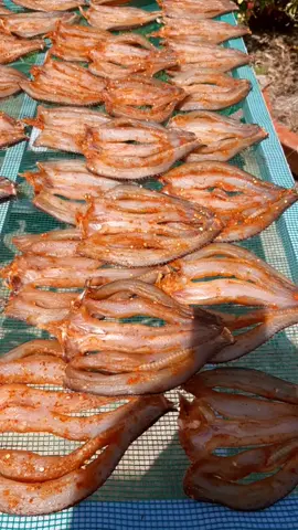 Khô cá lóc nhà Trang được chế biến từ thịt cá lóc tươi rửa sạch và ướp cùng gia vị truyền thống rồi được phơi dưới nắng gắt từ 2- 3 ngày thì sẽ có thành phẩm ngon và đẹp nhất#Khô Miền Tây# dacsandongthap