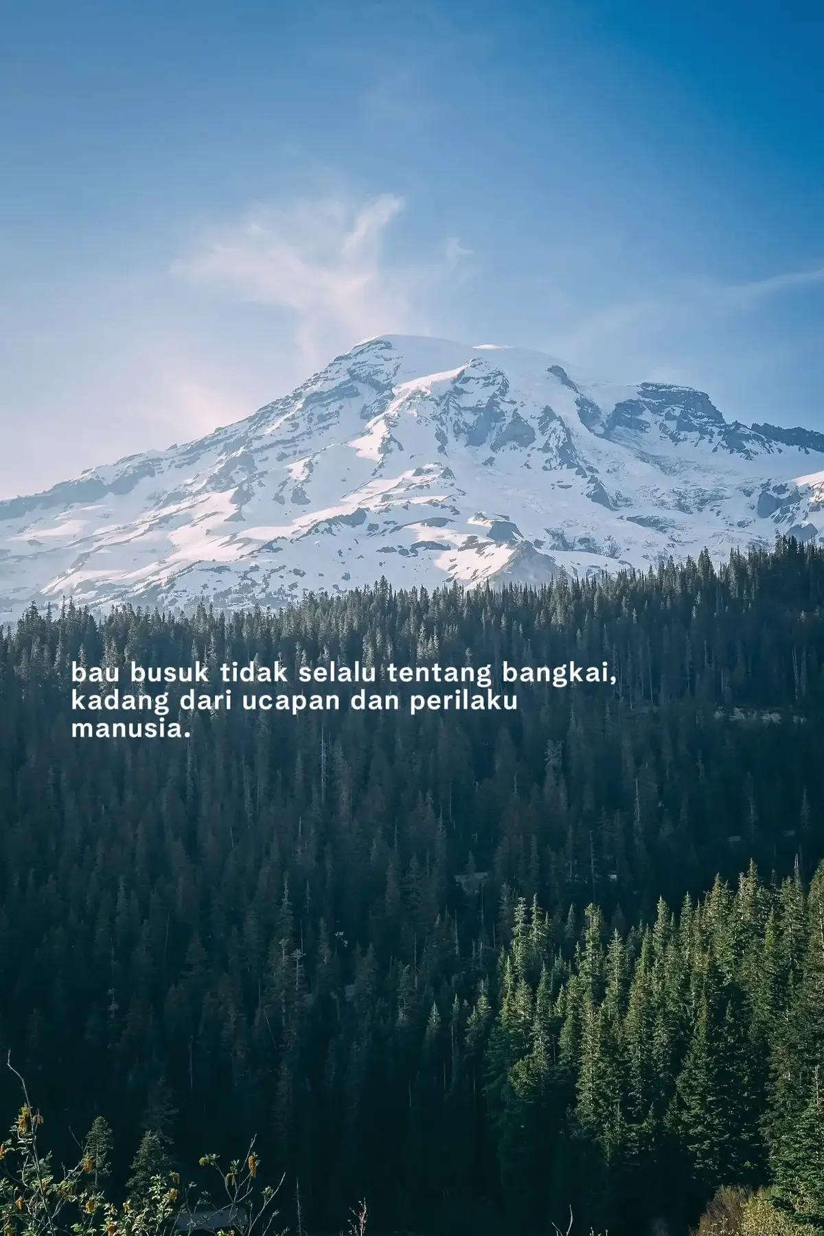 Bahan-bahan📝 :  3 butir telur ayam 15 sdm air 1/2 sdt lada bubuk 1 sdt garam 1/2 sdt penyedap (masako) 20 tusuk sate Cara Membuat 🥢 : 1.Siapkan bahan. Campurkan semua bahan dalam wadah, kemudian kocok hingga berbusa. 2.Pindahkan ke botol kecap. Panaskan minyak goreng RISE BRAND agak banyak. 3.Semprotkan telur ke minyak panas, tunggu sebentar kemudian gulung dari samping, goreng sampai kecoklatan, tiriskan. Lakukan sampai habis. 4.Siap disajikan dan selamat menikmati. Selamat mencoba!!! #katakata #4u #storytime #fyppppppppppppppppppppppp #xzyabc 