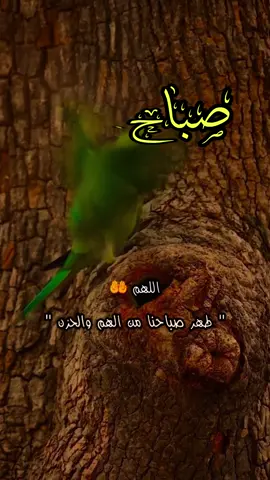 دعاء الصباح اللهم إني أسألك الثبات في الأمر  وأسألك العزيمة على الرشد وأسألك شكر نعمتك وحسن عبادتك  وأسألك قلبا سليما ولسانا صادقا وأسألك من خير ما تعلم وأعوذ بك من شر ما تعلم وأستغفرك لما تعلم، إنك أنت علام الغيوب #صباحكم_أحلى_صباح #صباحكم_معطر_بذكر_الله #صباح_الورد #صباح_الخير #صبحكم_الله_بالايمان_وطاعة_الرحمن 