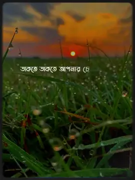 #CapCut part 98 আপনি মনে মনে আল্লাহ কে ডাকছেন🙂🌸#আবু_ত্বহা_মুহাম্মদ_আদনান #ইসলামিক_ভিডিও #islamic #islam 