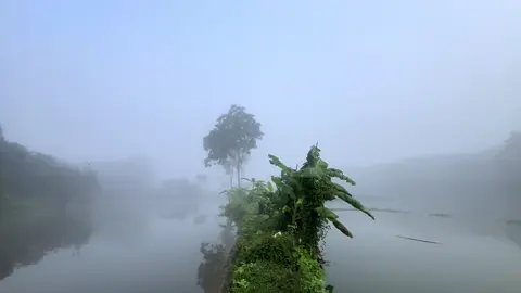 যখন কঠিন শীত আসবে তখন…..🥹😍#unfrezzmyaccount #foryou #vilage #foryoupage #শীতেরসকাল @For You @TikTok Bangladesh 