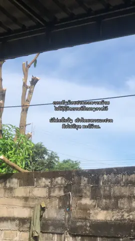 #ສະຕໍຣີ_ຄວາມຄວາມຮູ້ສືກ🖤🥀 #ຢືມລົງສະຕໍຣີ້ໄດ້ເດີ #fyp 