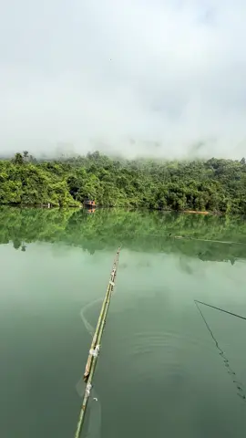 Săn may đami #caucagiaitri🎣 ##xuhuongtiktok 