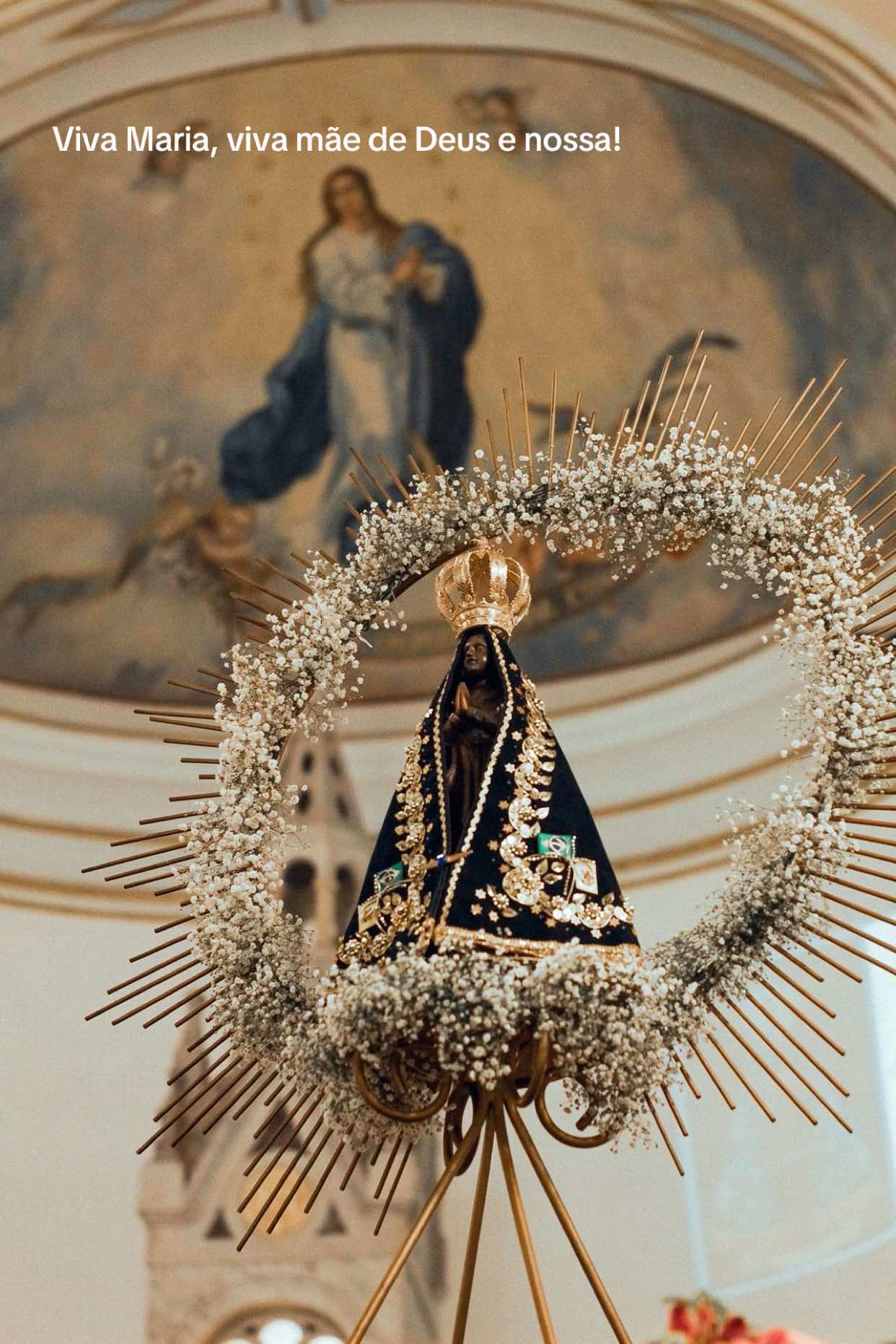 Viva mãezinha do céu, meu amor por ti é eterno, nossa senhora Aparecida🤍 #nossasenhoraaparecida #catolicos 