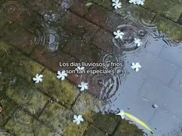 Los amo #lluvia #diaslluviosos #dias #naturaleza #fyp 