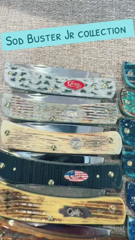 My case sod jr collection.. #knife #sodbuster #knifecollector #fyp #knifecommunity 