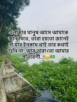 #😁🤌😎#🐸#bdtiktokofficial🇧🇩 #viralvideo #foryoupage 👍