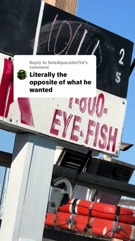 Replying to @SoleAlpaca86754 he must of wanted us to starve lmao #fyp #taxman #fishtok #slideforsteve #stingray 