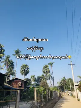 #မယုံနိုင်ဘူး #fyppppppppppppppppppppppp 