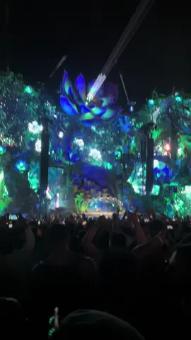 Siempre quize este momento 🤩🤩🤩#tomorrowland #viaje #brasil🇧🇷 