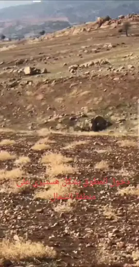 للحجز 81/491645 اقوى مقاوس عنا