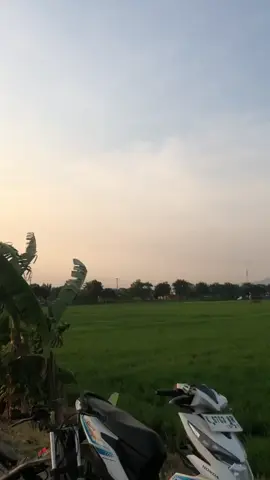 #fuporting155 #fuwungkul147 #epyuwungkul147 #famzgank #epyugank 