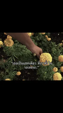 #เธรดรัก #เธรดเพลง #รักแฟนแท็กแฟน💖 #อยู่กันไปนานๆนะ #ยืมลงสตอรี่ได้ 
