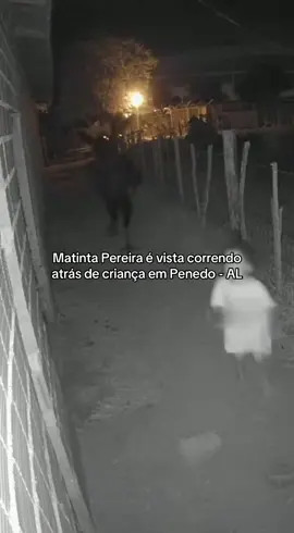 Matinta Pereira avistada nesta manhã de sábado em Penedo - AL