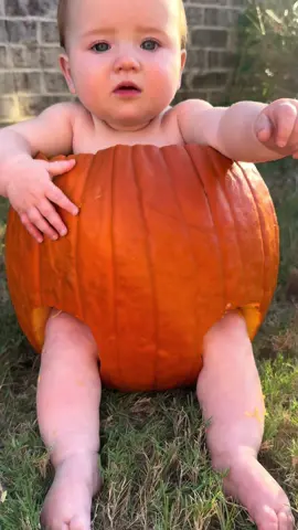 There just is nothing cuter 😍 #girlmomlife #fallvibes #pumpkin #babygirl #fyp 