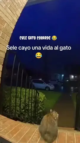#viraltiktok #viraltiktok #viraltiktok #mexico🇲🇽tiktok #mexico🇲🇽tiktok 