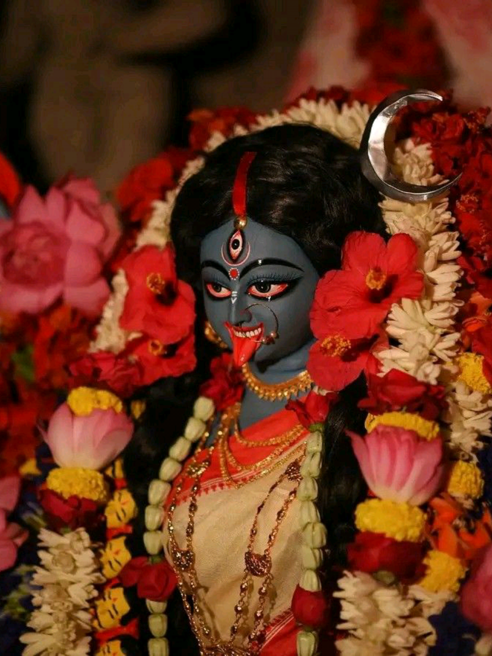 - মা কালী আসছে 💚😊 . . . #সনাতনীভিডিও🚩🚩 #ভগবান_সবার_মঙ্গল_করুন।  #সনাতনী🙏🥰🔱  #কালীপূজা #🌺🌺জয়_মা_কালী🌺🌺 @জয় শ্রী কৃষ্ণ..!😌🙏 @🌺🌺★কৃষ্ণ কালা ★🌺🌺 @🦚কৃঁষ্ণঁ প্রেঁমিঁক দেঁবঁ🦚 @🍃𝐒𝐡𝐞𝐭𝐮𝐥-𝐁𝐚𝐛𝐮🍃 @🕉️राधा-कृष्ण