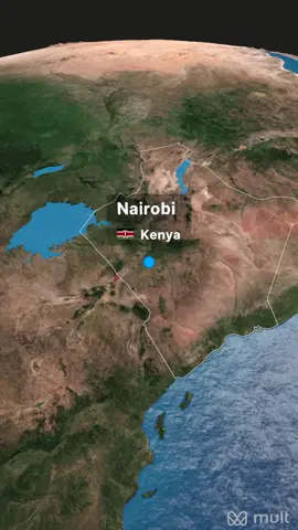 🌍✈️ Fiiso ✅ Tikidh ✅ Guri ✅ Dhammaan hal meel — Warfaa Travel & Real Estate Agency! 📞 +20 15 14184102 #WarfaaTravel #RealEstate #SomaliTravel #VisaHelp