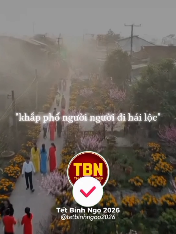 Cánh én nơi nơi khắp phố người người đi hái lộc... #tet2026 #tetbinhngoo2026 #ngayxuanlongphungsumvay #trending #xuhuongtiktok 