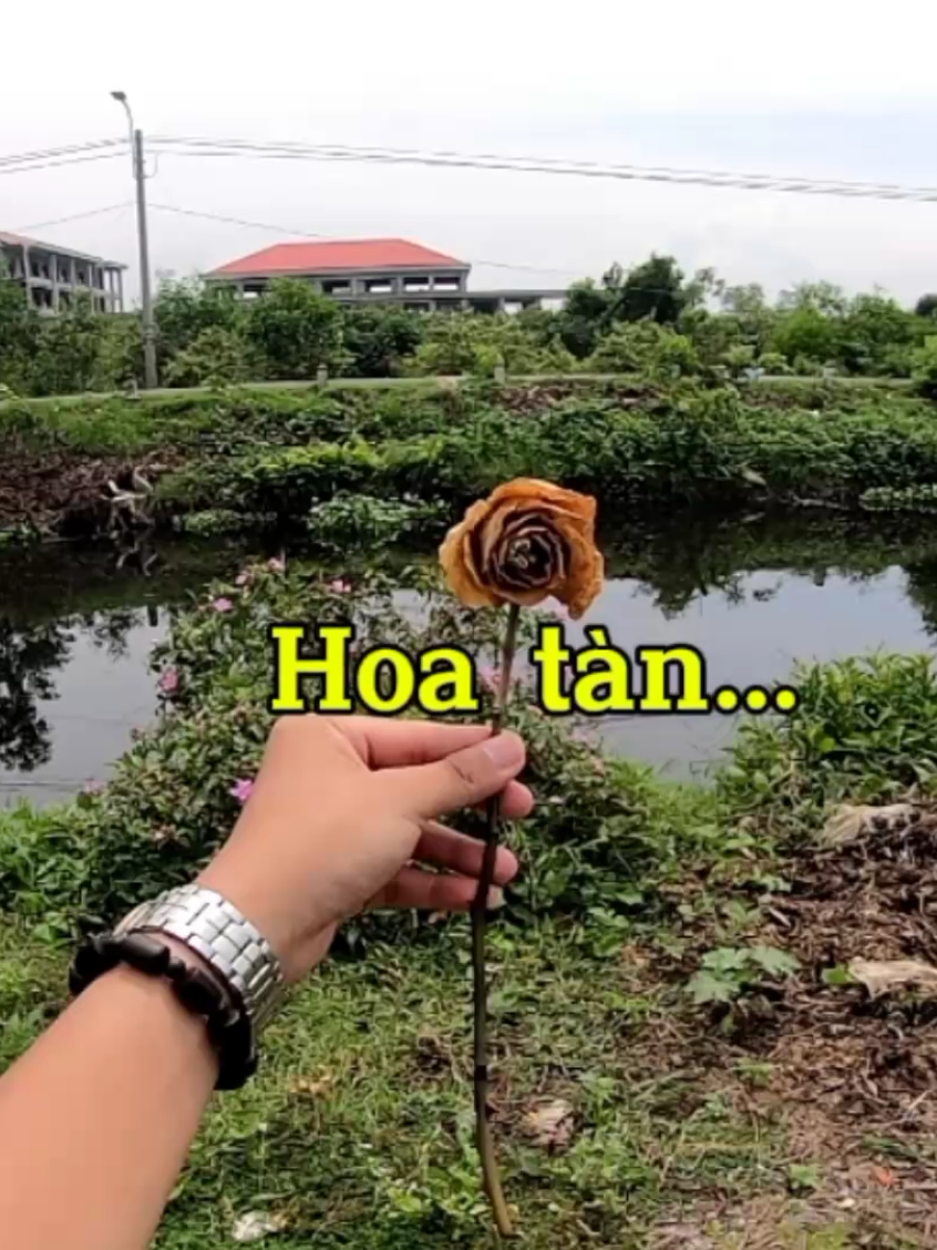 Chuyện hoa tàn... #vinhlocvlog #vinhloclamtho #caylap #xuhuong #xuhuongtiktok 