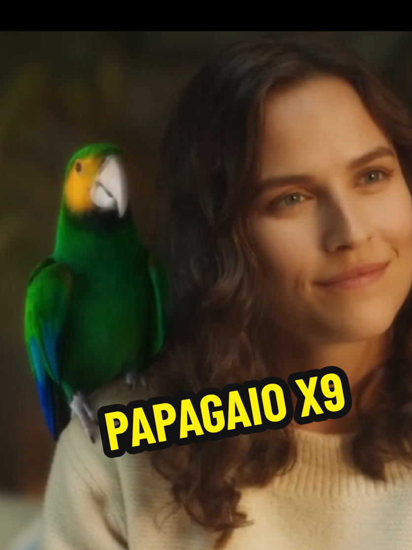 papagaio x9 na área  humor na iashow #chico #mariaflor #papagaio #humortiktok #domingou 