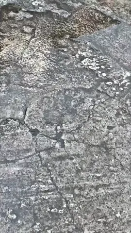 #vixion #vixionstyleganteng #vixionstyleganteng #vixion_modifikasi #vixionold 