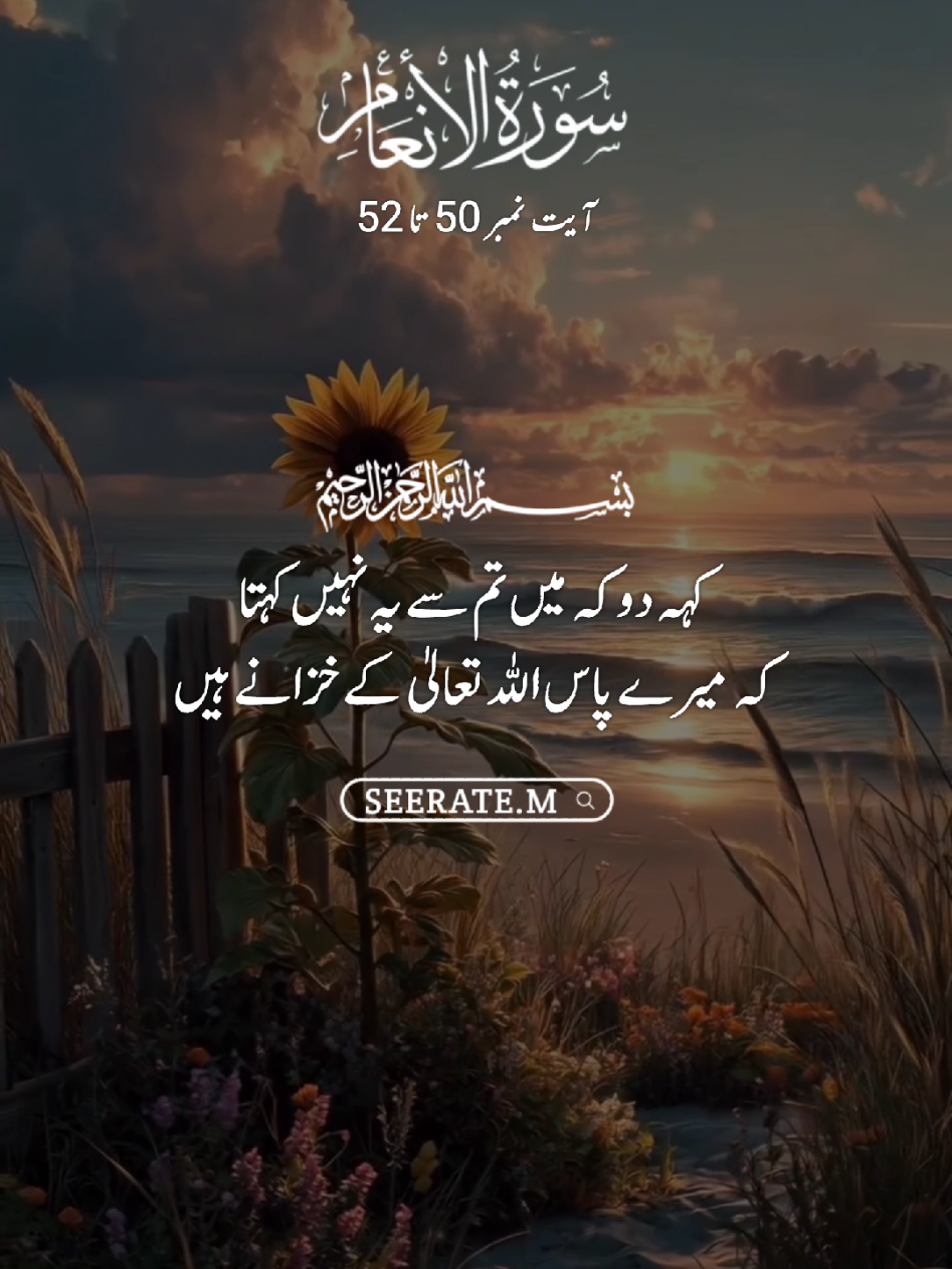 Quran kareem with translation 😍  surat ul anam ayat no 50 to 52 #quran #hadees #islam #seerate_m #viral 