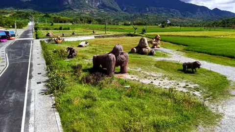 珍惜每一個瞬間，欣賞生活中的細節，從中尋找快樂與滿足。 #花蓮  #富里稻草藝術景觀區  #紀錄美好生活  #騎車日常  #part1 