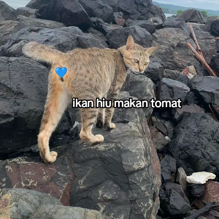 suka aja ngeliat kamu #xyzbca #foryoupage #fyp #lewatberanda #4u 