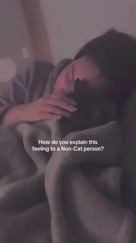 My whole heart 🥺 #fyp #cats 