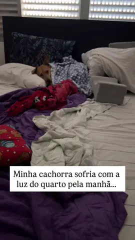 Agora meu amor não vai queimar a retina 😍❤️  #fyp #cachorro #dog #viral #maisvistos 