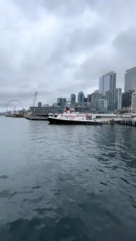 Day trip to Bainbridge Island 