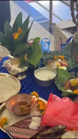 दाईको बिहेमा रमाइलो गर्दै हामी।❤️🥰@སམྲི་ཏི ཏ་མང་ @👾💗 Vauju@🦋MAYA🦋 #govairalvideo💕 #proudtobetamang🙏 #xyzbcafypシ #keeploving❤️ #fyp 