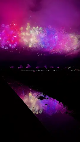 鴻巣花火大会　鳳凰乱舞 #鴻巣花火大会  #花火 #こうのす花火大会  #fireworks 