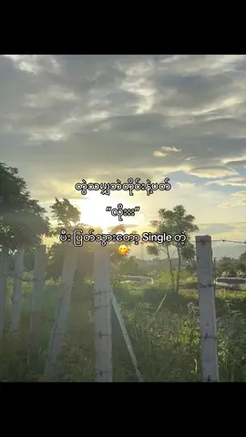 သူ့ကိုယ်သူဇွတ်ဖြူစင်😔#စတာနောက်တာအတည်🤪 