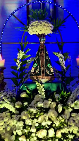 Viva mãe de Deus e nossa.