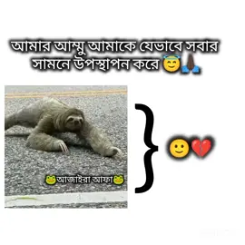 🙂🙏🏿 #🐸আজাইব়া_আফা🐸 #kimjikraot7 #foryou #forpage #fpy 