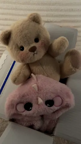 #teddybear #getahugco #giftideas #getahug 