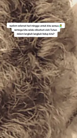 #Syalom 🙋‍♂️