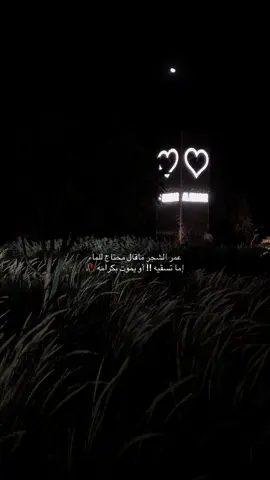 #تصويري 