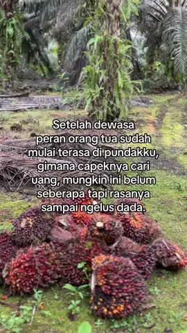 sehat” ya badan🙂 #pemanensawit #kulisawit #sawitkalimantan #fypvideoviratiktok 