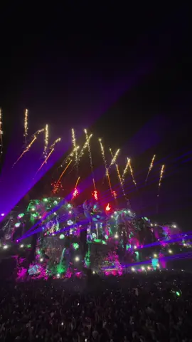 Need more fireworks @axwell? #tomorrowland #tomorrowlandbrasil #electronicmusic #festivalnotiktok #festivalnotiktok 