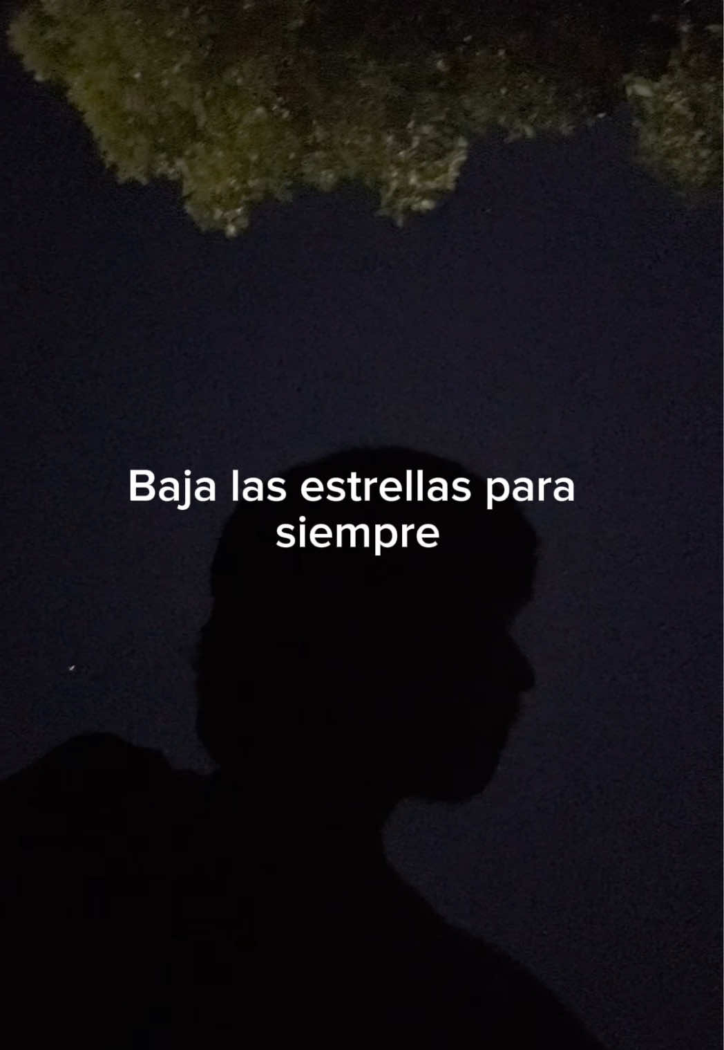 Mi nueva canción “Estrellas” ya está disponible en todas partes, gracias por escucharla, hacemos esto con el corazón, espero que les guste. 🌌🌌🌌🌌🌌🌌🌌🌌🌠 #macariomartinez #musicamexicana #folk #tinydesk 