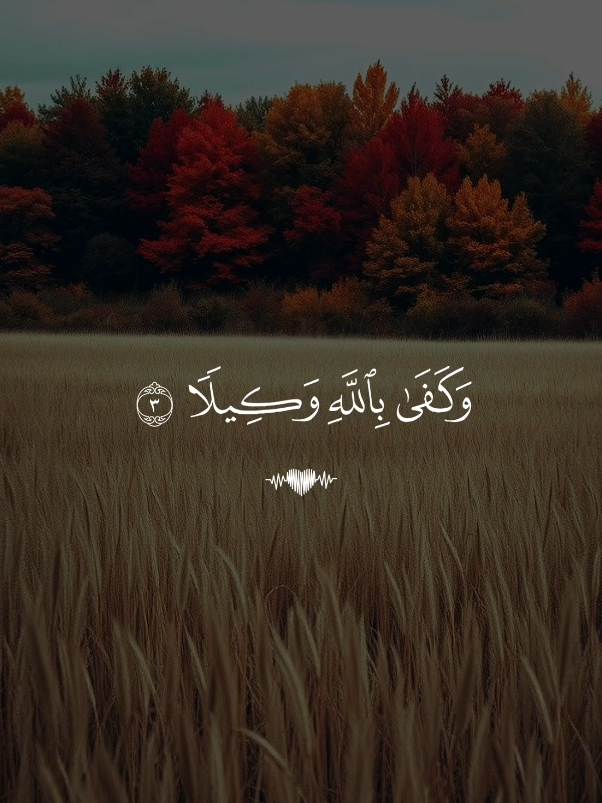 🕳️ تلاوة خاشعة بصوت القارئ ماهر المعقلي من سورة الأحزاب #تلاوة_خاشعة #قران #quran #fyp #foruyou