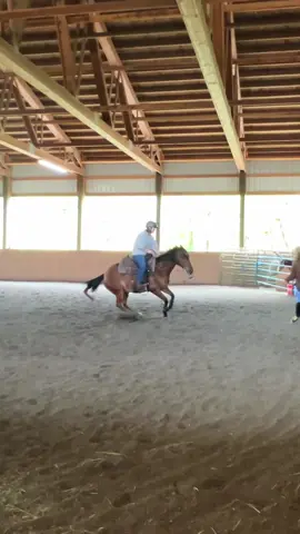 she's in her 20s and can still get low btw #cuttinghorse #reinedcowhorse #horse #equestrian #fyp
