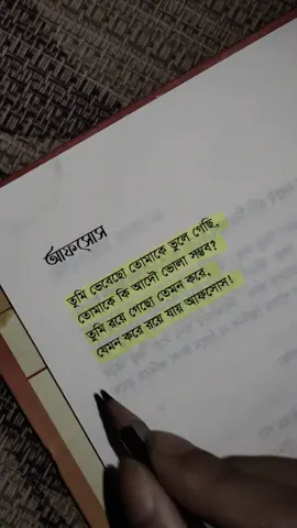 তোমাকে কি আদৌ ভোলা সম্ভব...? 