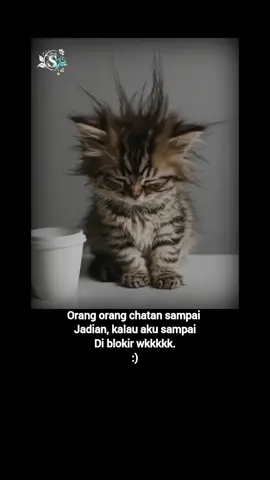 #sekedar_hiburan #®yn