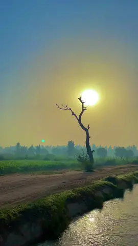 #میرا۔سونا۔پنڈ۔49gb۔چونڈا۔🌱🍂🌹🌝 #پنڈاں_والے🌱🌾 #pindaaly #fouryou #viral 